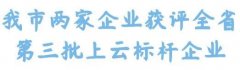 大冶市(shì)新增2家第三批省級上(shàng)雲标杆企業