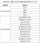 【名單公示】省發改委關于湖(hú)北(běi)省第一(yī)批數字經濟示範城(chéng)市(shì)和标杆園區名單的公